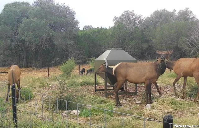 15019 County Road 310 Rocksprings, TX 78880