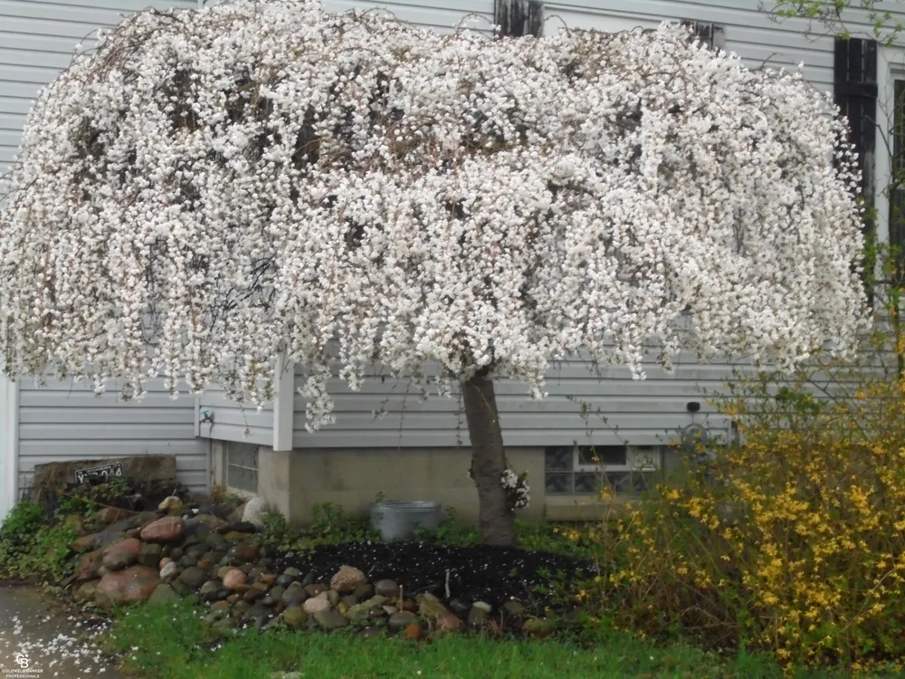 36311 Beier Street Richmond City, MI 48062