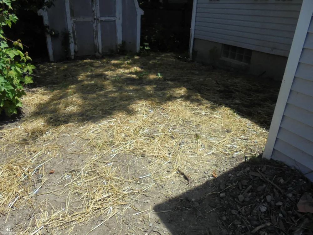 36311 Beier Street Richmond City, MI 48062