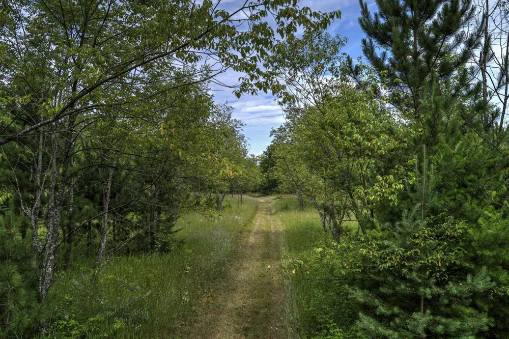2625 Walton Road Paradise Township, MI 49649