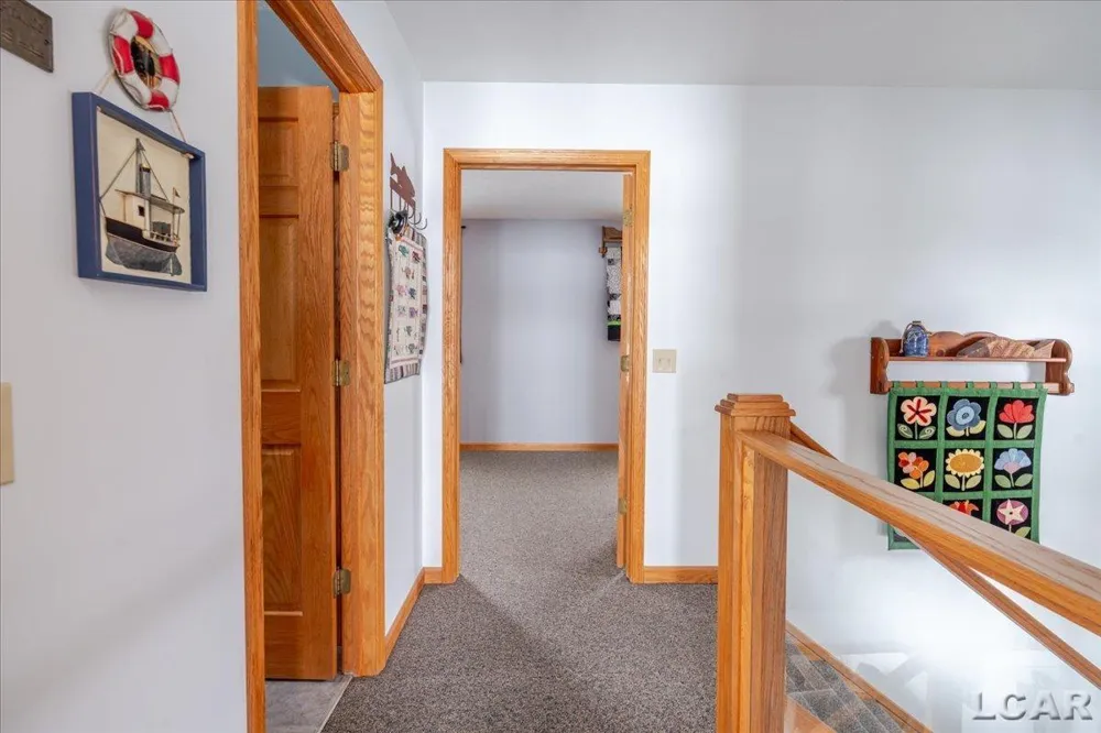 9920 W Ferndale Drive Rollin Township, MI 49253