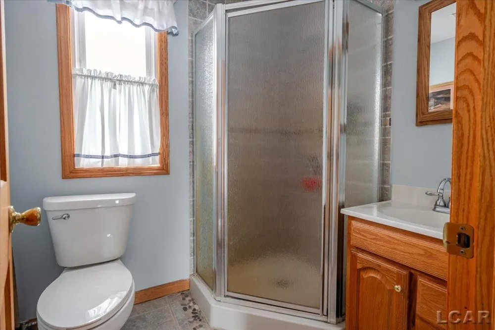 9920 W Ferndale Drive Rollin Township, MI 49253