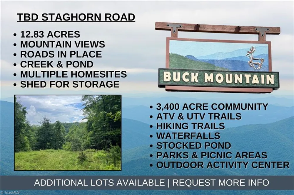 TBD Staghorn Road Purlear, NC 28665