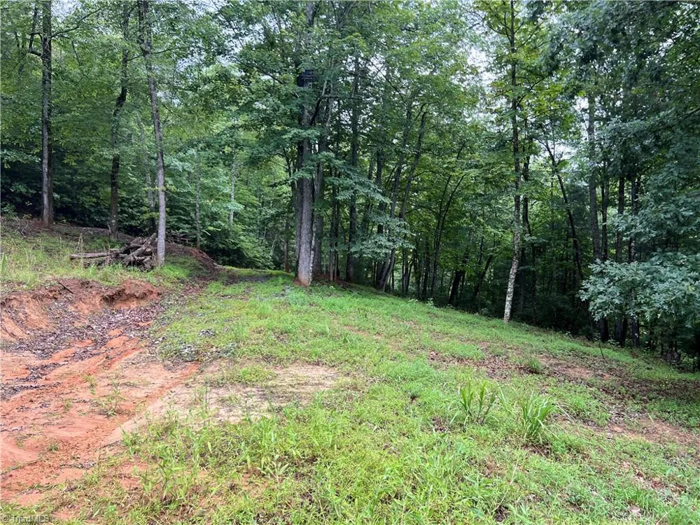TBD Staghorn Road Purlear, NC 28665