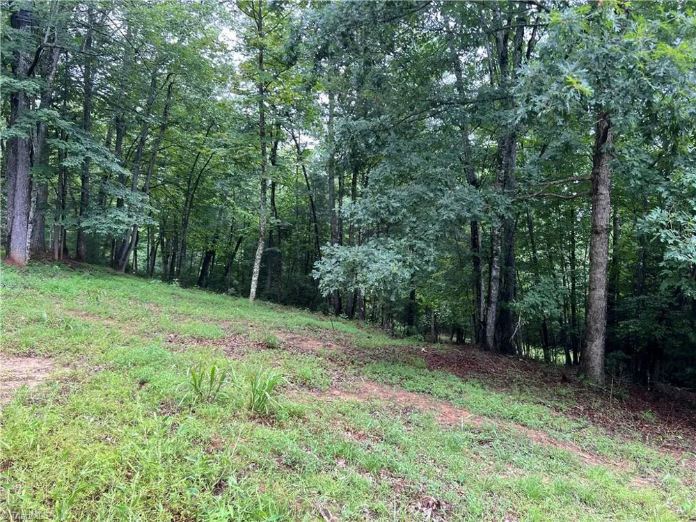 TBD Staghorn Road Purlear, NC 28665
