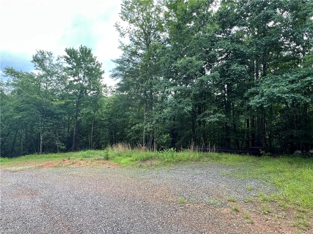 TBD Staghorn Road Purlear, NC 28665