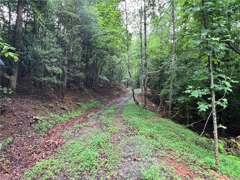 TBD Staghorn Road Purlear, NC 28665