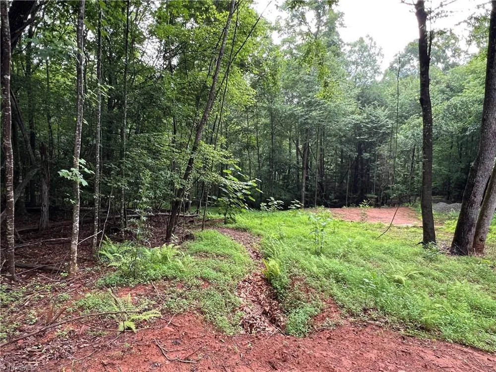 TBD Staghorn Road Purlear, NC 28665