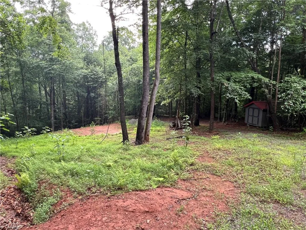 TBD Staghorn Road Purlear, NC 28665