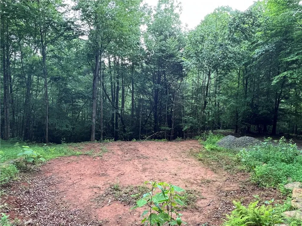 TBD Staghorn Road Purlear, NC 28665