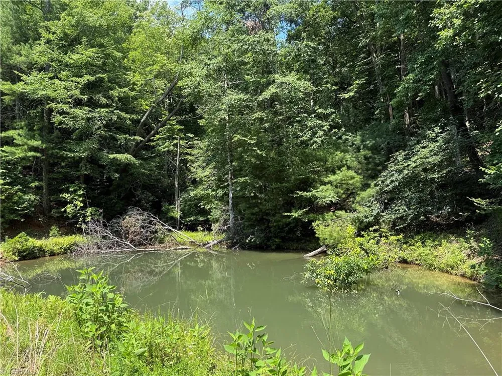 TBD Staghorn Road Purlear, NC 28665