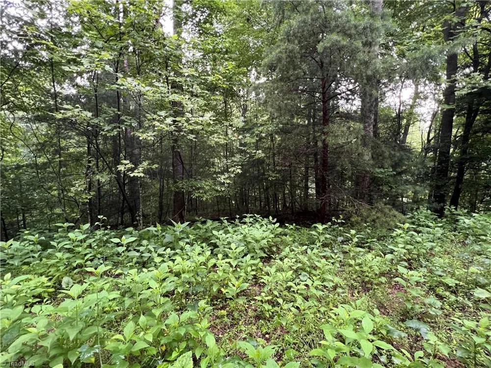 TBD Staghorn Road Purlear, NC 28665