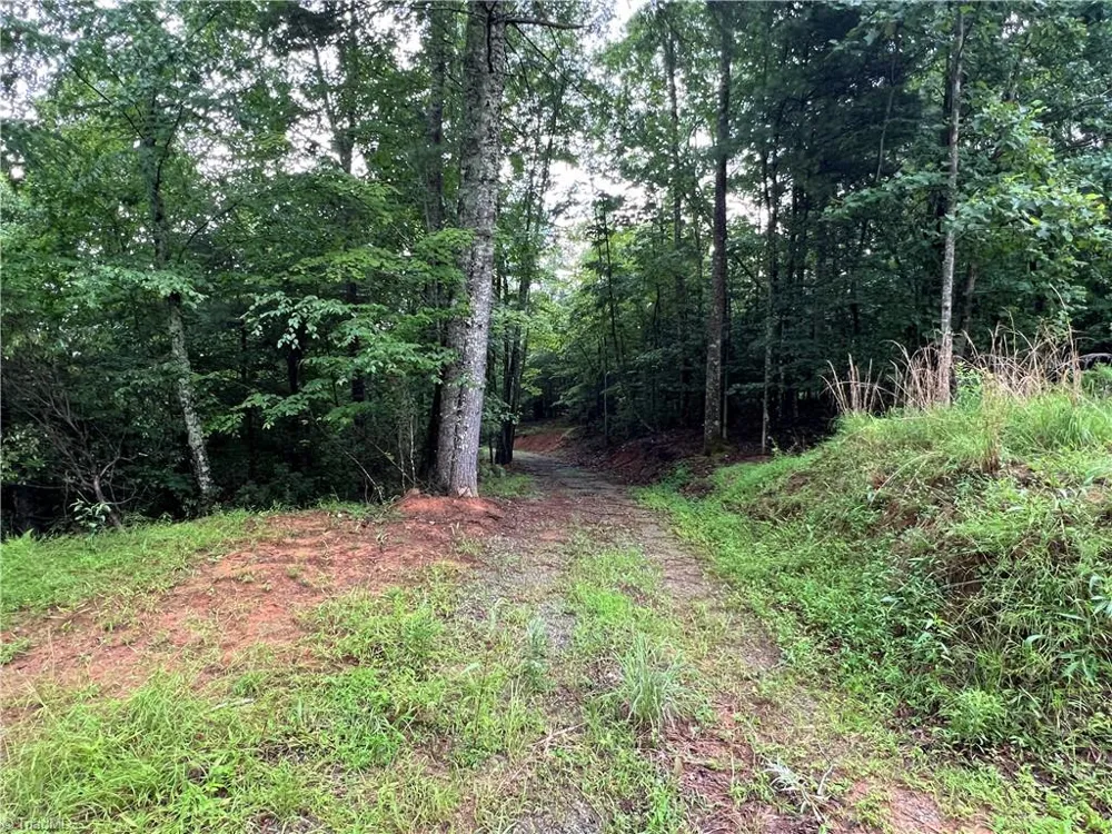 TBD Staghorn Road Purlear, NC 28665