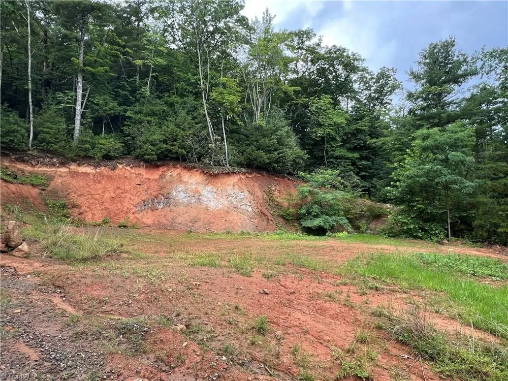 TBD Staghorn Road Purlear, NC 28665