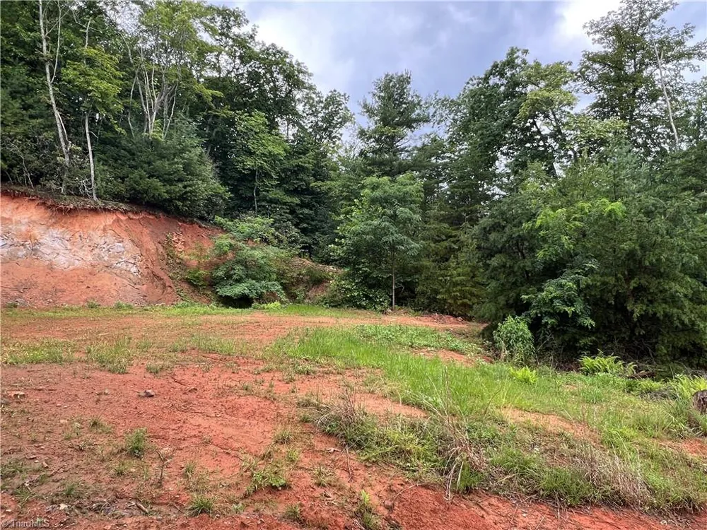 TBD Staghorn Road Purlear, NC 28665