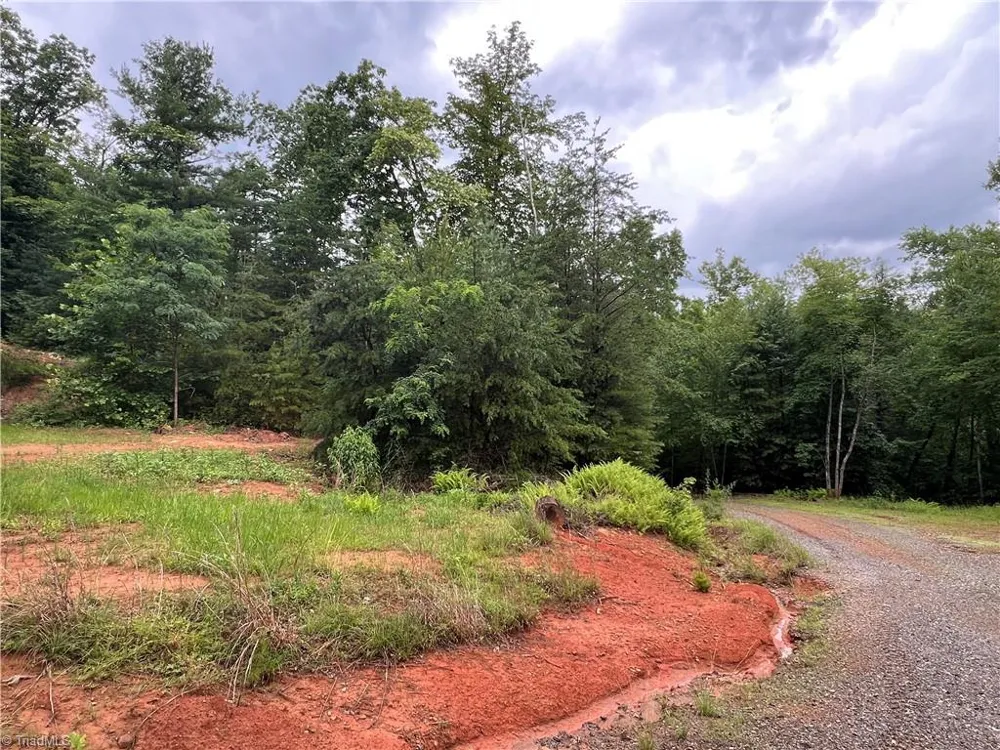 TBD Staghorn Road Purlear, NC 28665
