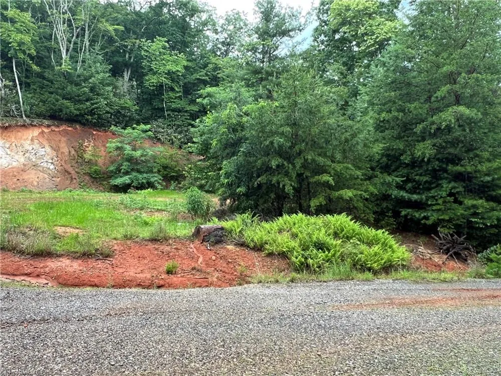 TBD Staghorn Road Purlear, NC 28665