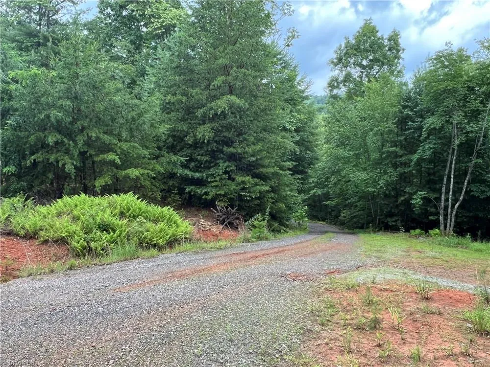 TBD Staghorn Road Purlear, NC 28665