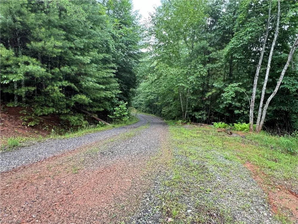 TBD Staghorn Road Purlear, NC 28665
