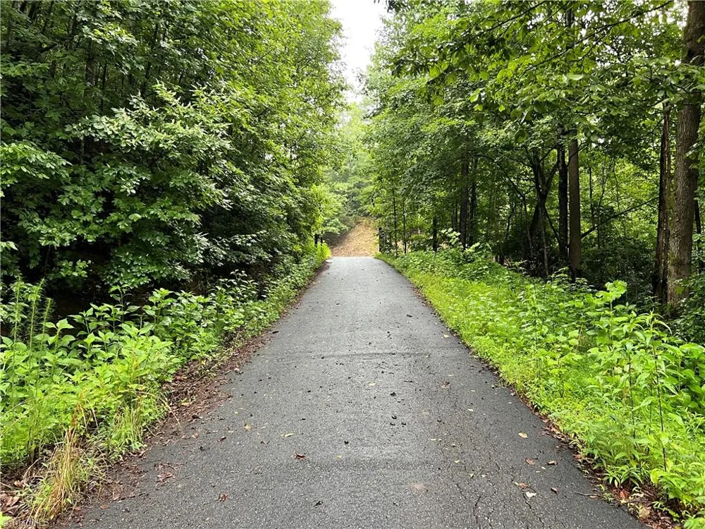 TBD Staghorn Road Purlear, NC 28665