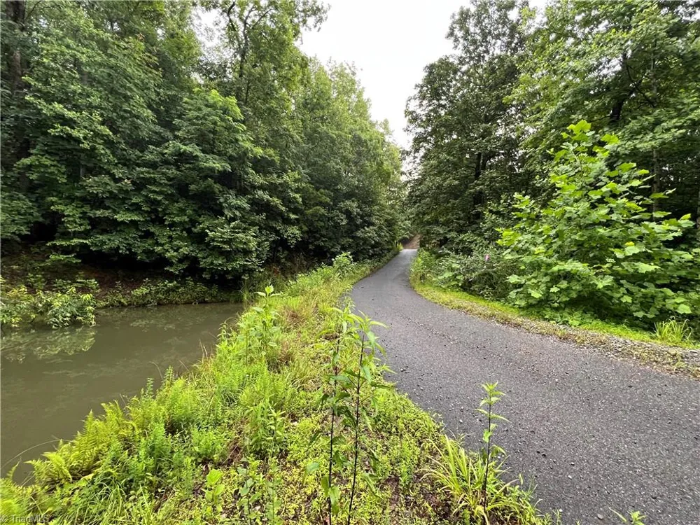 TBD Staghorn Road Purlear, NC 28665