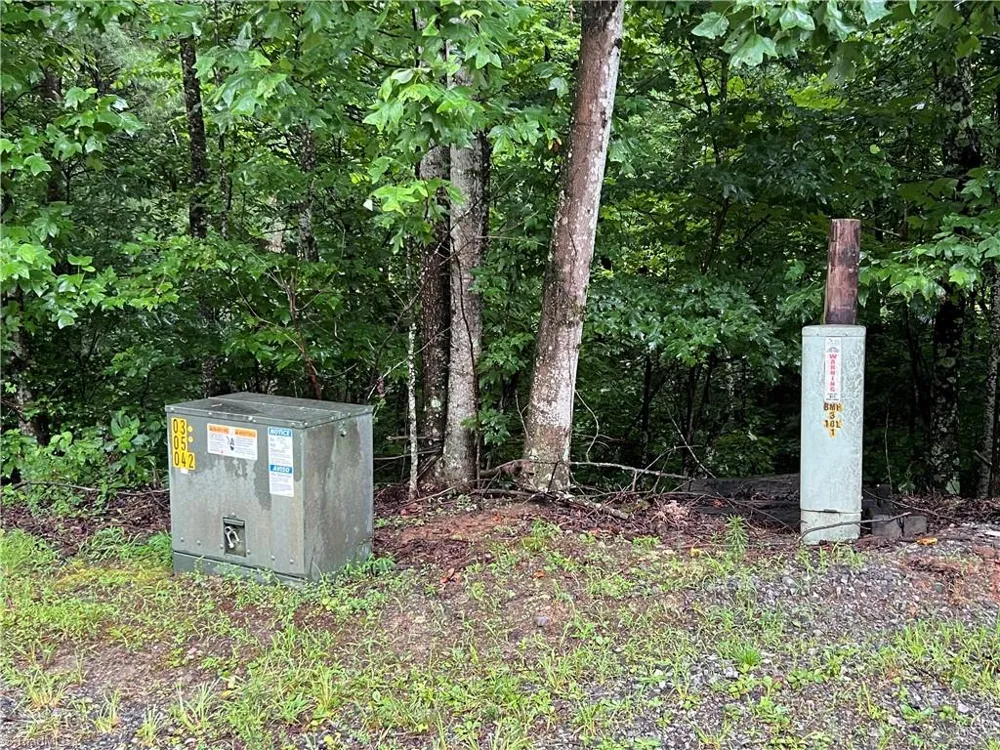 TBD Staghorn Road Purlear, NC 28665