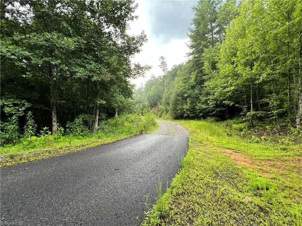 TBD Staghorn Road Purlear, NC 28665