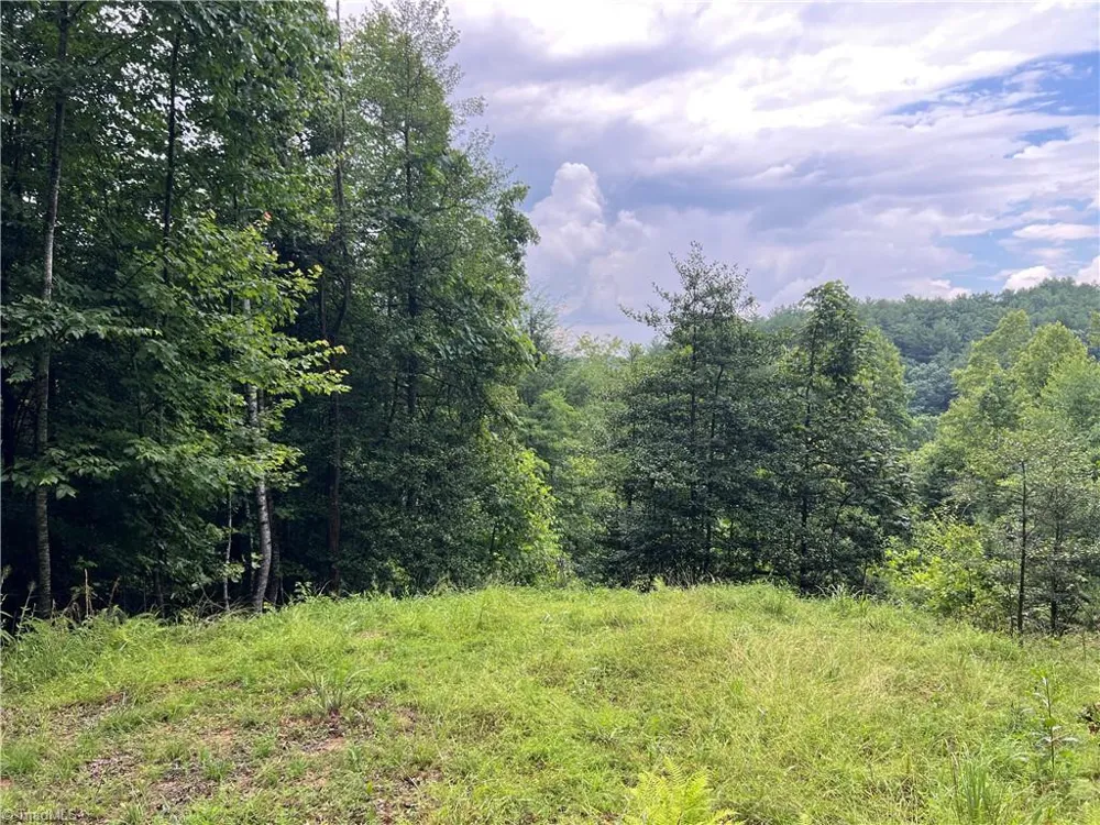 TBD Staghorn Road Purlear, NC 28665