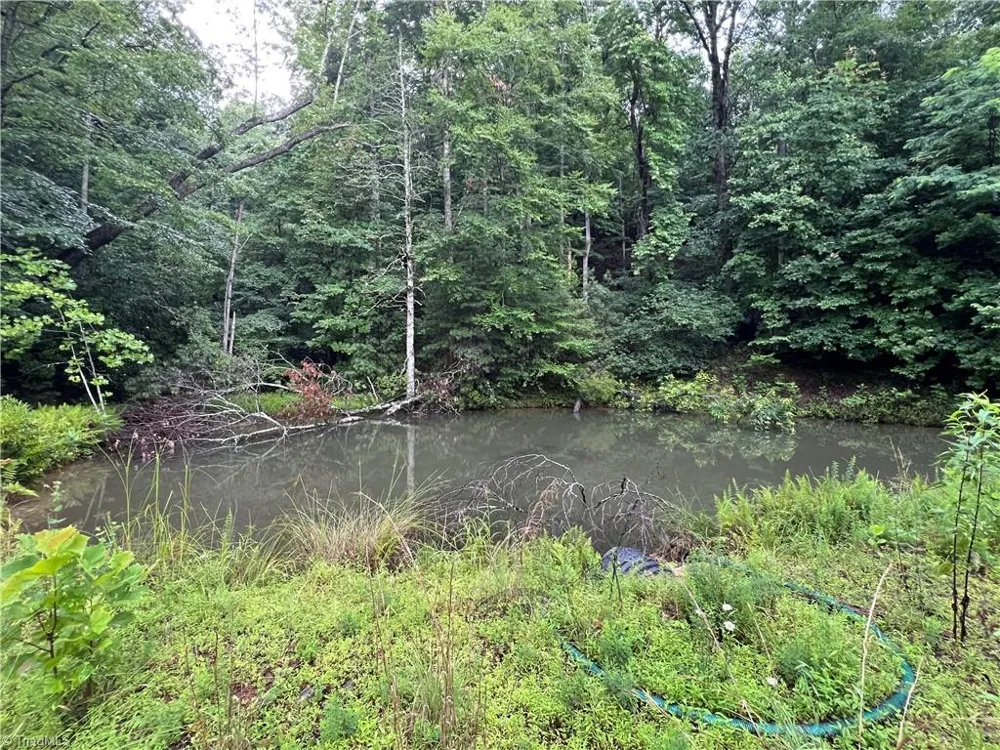 TBD Staghorn Road Purlear, NC 28665