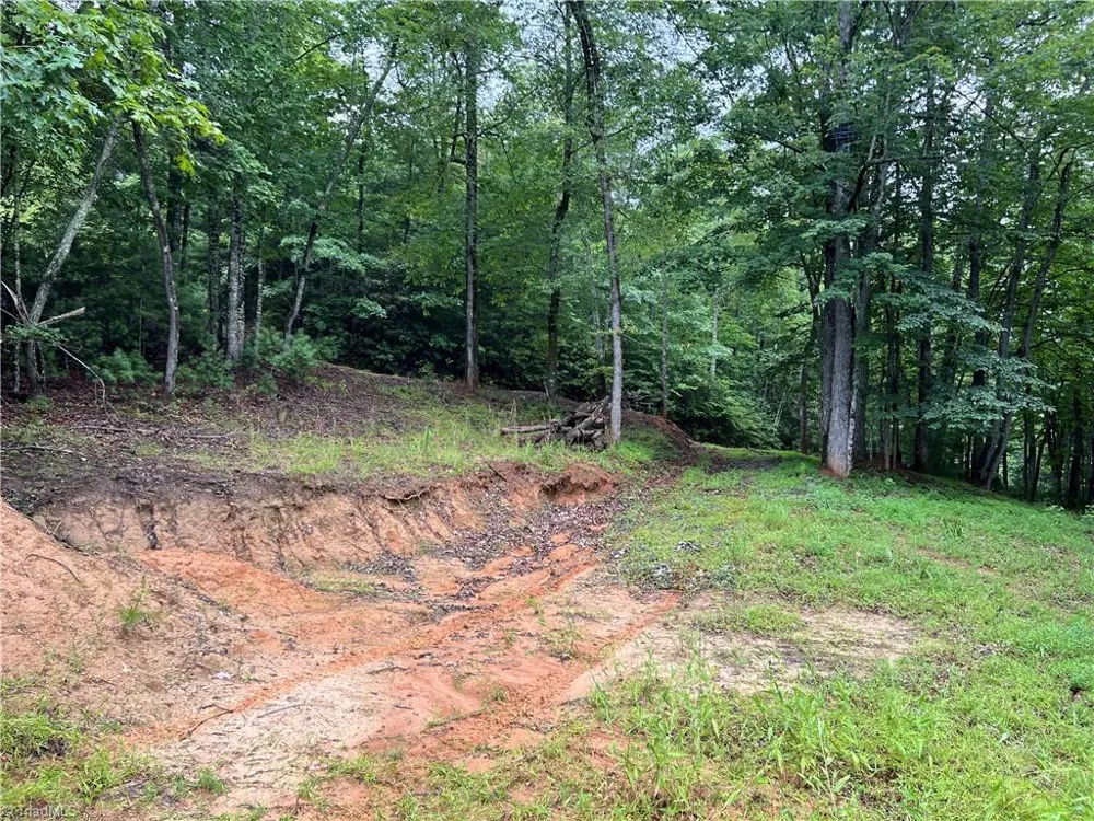 TBD Staghorn Road Purlear, NC 28665