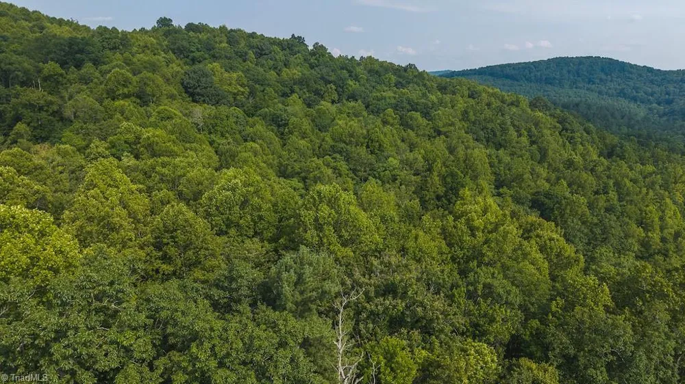 TBD Brushy Mountain Road Moravian Falls, NC 28654