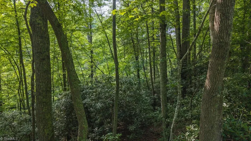 TBD Brushy Mountain Road Moravian Falls, NC 28654