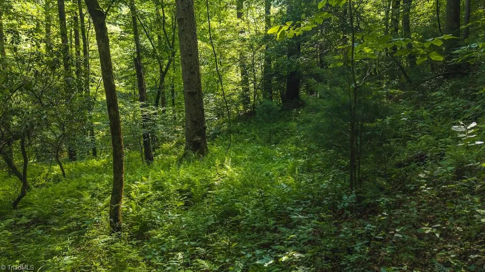 TBD Brushy Mountain Road Moravian Falls, NC 28654