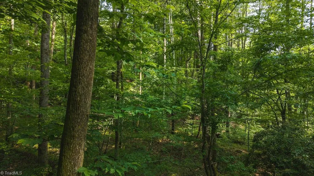 TBD Brushy Mountain Road Moravian Falls, NC 28654