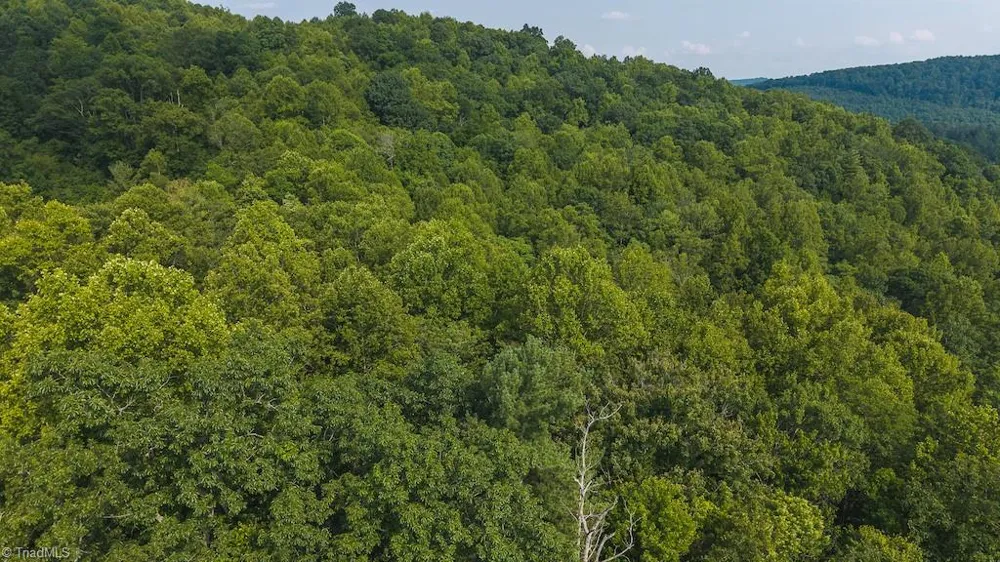 TBD Brushy Mountain Road Moravian Falls, NC 28654