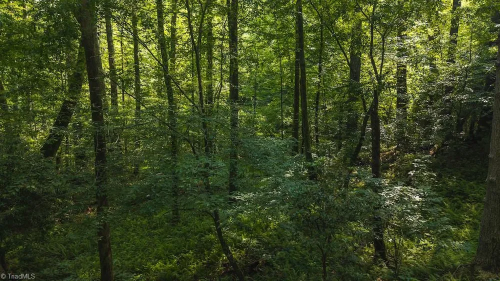 TBD Brushy Mountain Road Moravian Falls, NC 28654