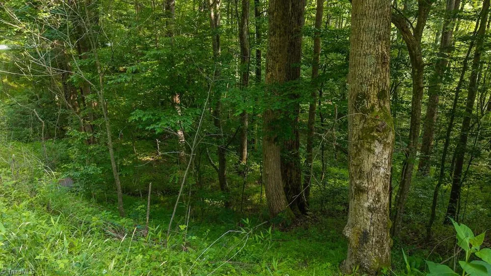 TBD Brushy Mountain Road Moravian Falls, NC 28654