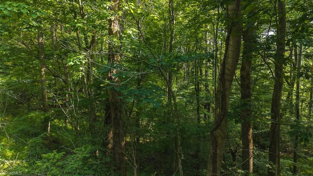 TBD Brushy Mountain Road Moravian Falls, NC 28654