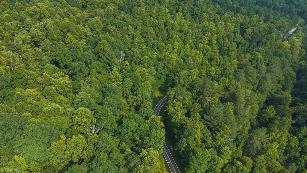 TBD Brushy Mountain Road Moravian Falls, NC 28654