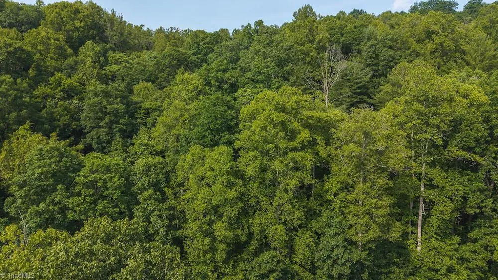 TBD Brushy Mountain Road Moravian Falls, NC 28654