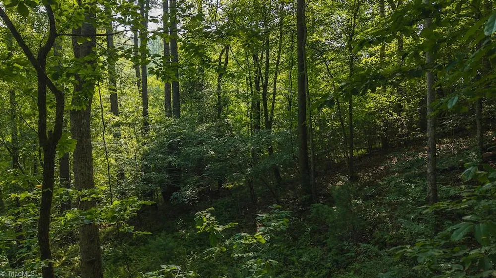 TBD Brushy Mountain Road Moravian Falls, NC 28654