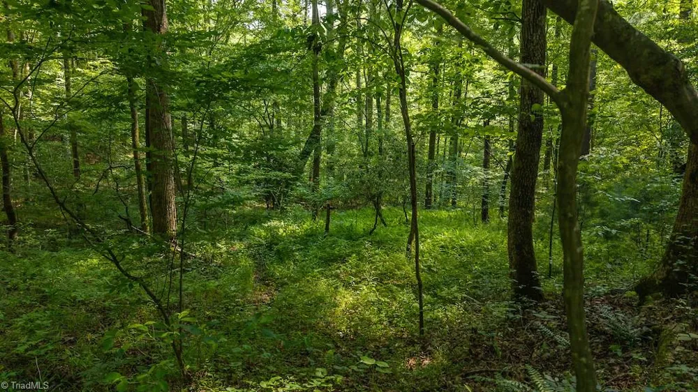 TBD Brushy Mountain Road Moravian Falls, NC 28654