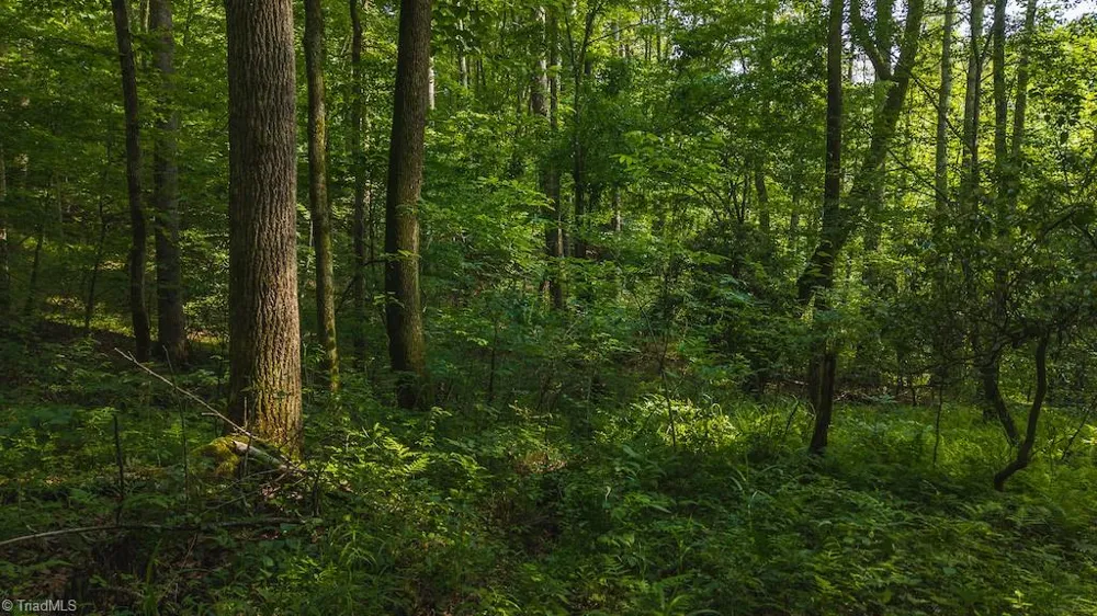 TBD Brushy Mountain Road Moravian Falls, NC 28654