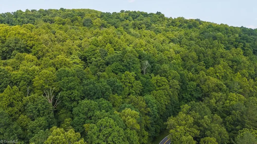 TBD Brushy Mountain Road Moravian Falls, NC 28654