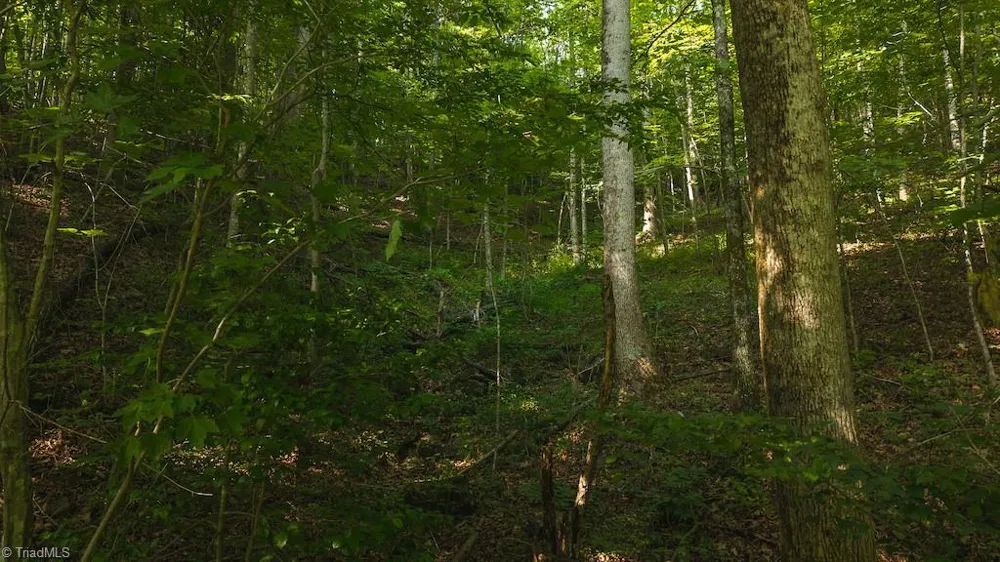 TBD Brushy Mountain Road Moravian Falls, NC 28654