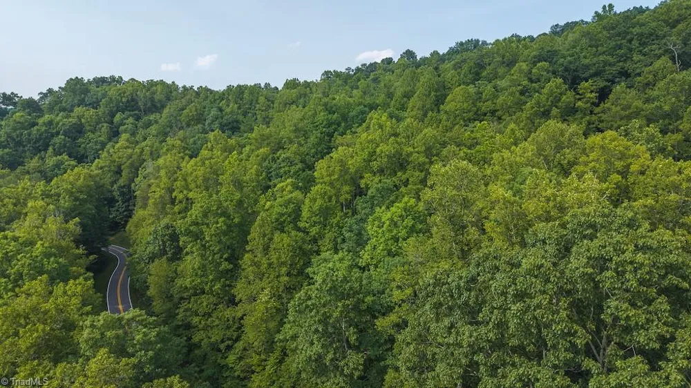 TBD Brushy Mountain Road Moravian Falls, NC 28654