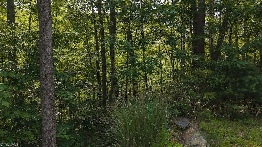 TBD Brushy Mountain Road Moravian Falls, NC 28654