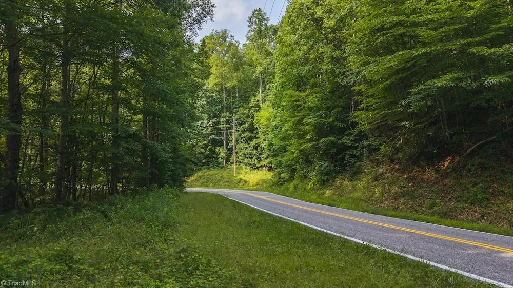 TBD Brushy Mountain Road Moravian Falls, NC 28654