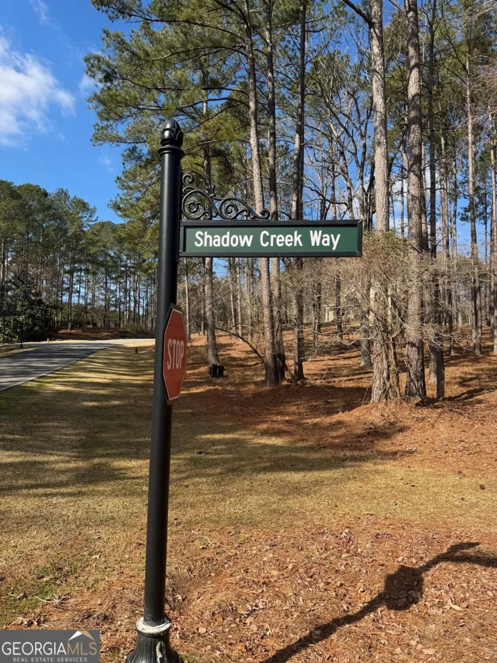 1041 Shadow Creek WAY Greensboro, GA 30642
