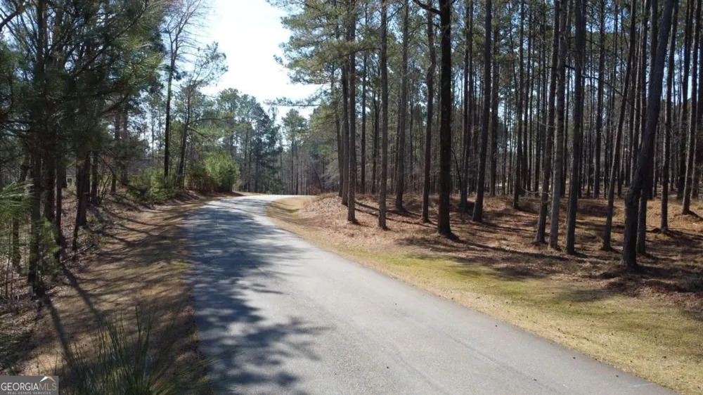 1041 Shadow Creek WAY Greensboro, GA 30642